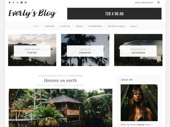 everly-hipster-free-wordpress-blog-featured-theme-800