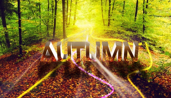 theme photo love effects TypeInspire Autumn